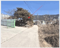  2025Ÿ481  ֽ  338-26       â