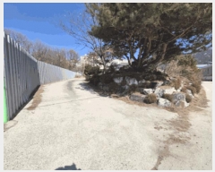  2025Ÿ481  ֽ  338-26       â