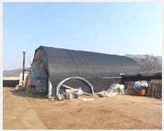  2025Ÿ��979 ���� ö���� ������ �̱渮 386-3      ����(��)���