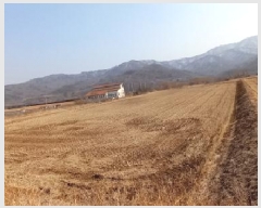  2025Ÿ��979 ���� ö���� ������ �̱渮 386-3      ����(��)���