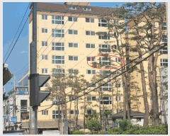  2025Ÿ��2135  ���ǽ��ڰ��