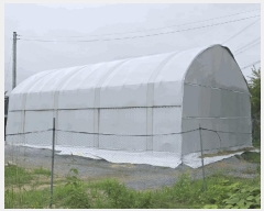  2025Ÿ��2357 ��� ���ֽ� ������ 441-10       ����(��)���