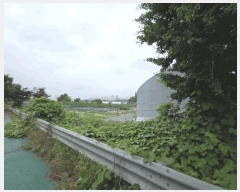  2025Ÿ��2357 ��� ���ֽ� ������ 441-10       ����(��)���