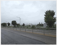  2025Ÿ��2357 ��� ���ֽ� ������ 441-10       ����(��)���