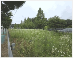  2025Ÿ��2357 ��� ���ֽ� ������ 441-10       ����(��)���