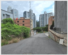  2025Ÿ��2647  �ټ���(����)���