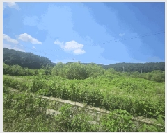  2025Ÿ��3046 ��� ��õ�� �ϵ��� ����� 638      ����(��)���