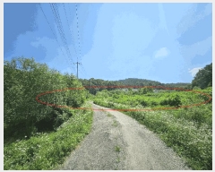  2025Ÿ��3046 ��� ��õ�� �ϵ��� ����� 638      ����(��)���