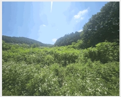  2025Ÿ��3046 ��� ��õ�� �ϵ��� ����� 638      ����(��)���