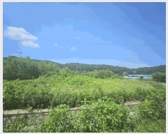  2025Ÿ��3046 ��� ��õ�� �ϵ��� ����� 638      ����(��)���