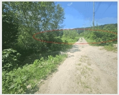  2025Ÿ��3046 ��� ��õ�� �ϵ��� ����� 638      ����(��)���