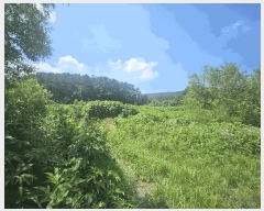  2025Ÿ��3046 ��� ��õ�� �ϵ��� ����� 638      ����(��)���