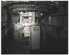  2025Ÿ��3756  ������