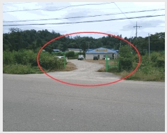  2025Ÿ��3923  ������