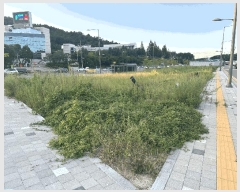  2025Ÿ��4087  �������