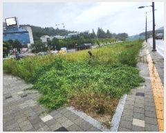  2025Ÿ��4087  �������