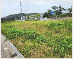  2025Ÿ��4087  �������