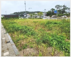  2025Ÿ��4087  �������