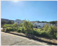  2025Ÿ��4735 ��� ���ֽ� ���絿 664-7       ����(����)���