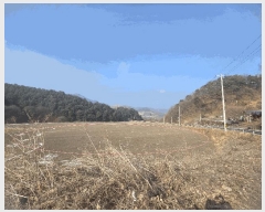  2025Ÿ��6373 ��� ��õ�� ���ϸ� ��ȸ�긮 66-2      ����(��)���