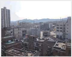  2025Ÿ��71733 ��� ���ֽ� ȸ���� 393 ����ġŸ�� 1�� 7��701ȣ    �ټ���,������