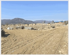  2025Ÿ��71776  �����