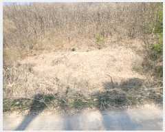  2025Ÿ��71934  �����