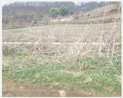  2025Ÿ��71934  �����