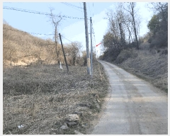  2025Ÿ��71934  �����