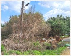  2025Ÿ��72003  ����