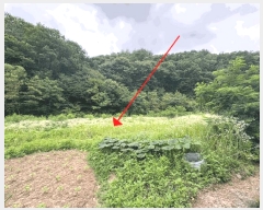  2025Ÿ��72055 ��� ��õ�� �̵��� ��ϸ� 180-53      ��Ÿ�������