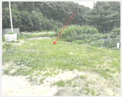  2025Ÿ��72055 ��� ��õ�� �̵��� ��ϸ� 180-53      ��Ÿ�������