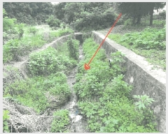  2025Ÿ��72055 ��� ��õ�� �̵��� ��ϸ� 180-53      ��Ÿ�������