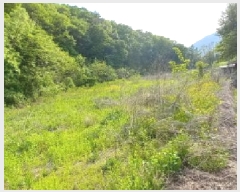  2025Ÿ��72055 ��� ��õ�� �̵��� ��ϸ� 180-53      ��Ÿ�������