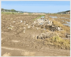  2025Ÿ��72101 ��� ��õ�� ������ ���� 809      ����(��)���