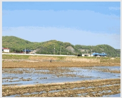  2025Ÿ��72101 ��� ��õ�� ������ ���� 809      ����(��)���