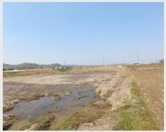  2025Ÿ��72101 ��� ��õ�� ������ ���� 809      ����(��)���