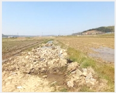  2025Ÿ��72101 ��� ��õ�� ������ ���� 809      ����(��)���