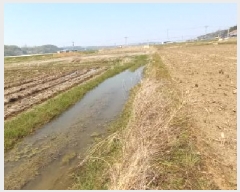  2025Ÿ��72101 ��� ��õ�� ������ ���� 809      ����(��)���