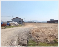  2025Ÿ��72101 ��� ��õ�� ������ ���� 809      ����(��)���