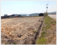  2025Ÿ��72101 ��� ��õ�� ������ ���� 809      ����(��)���