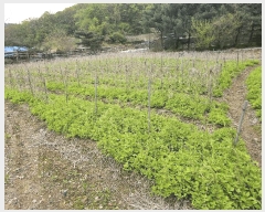  2025Ÿ72150  õ ̻ 鼮 643      (1)