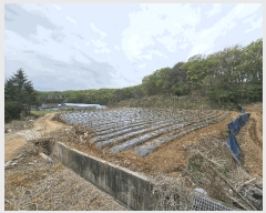  2025Ÿ72150  õ ̻ 鼮 643      (1)