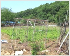  2025Ÿ72150  õ ̻ 鼮 643      (1)