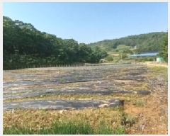  2025Ÿ72150  õ ̻ 鼮 643      (1)