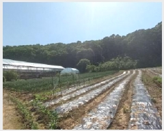  2025Ÿ72150  õ ̻ 鼮 643      (1)