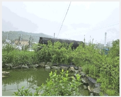  2025Ÿ��72180 ��� ��õ�� �źϸ� �������� 144      ����(��)���