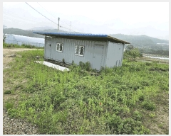  2025Ÿ��72180 ��� ��õ�� �źϸ� �������� 144      ����(��)���