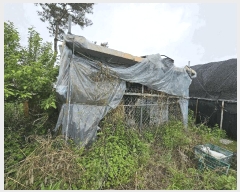  2025Ÿ��72180 ��� ��õ�� �źϸ� �������� 144      ����(��)���