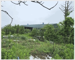  2025Ÿ��72180 ��� ��õ�� �źϸ� �������� 144      ����(��)���